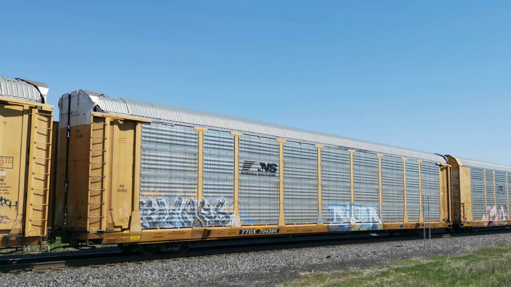 NS 49252 (Body) TTGX 704384 (Flat)